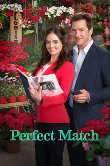 იდეალური წყვილი (ქართულად) / Perfect Match ქართულად 2015 / idealuri tsqvili qartulad