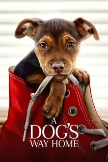 ძაღლის გზა შინისაკენ (ქართულად) / A Dog's Way Home (Dzaglis Gza Shinisaken Qartulad) ქართულად 2019 / dzaghlis gza shinisaken qartulad