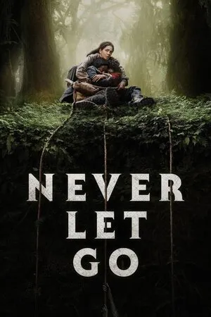 არასოდეს გაუშვა (ქართულად) / Never Let Go (Arasodes Gaushva Qartulad) ქართულად 2024 / arasodes gaushva qartulad