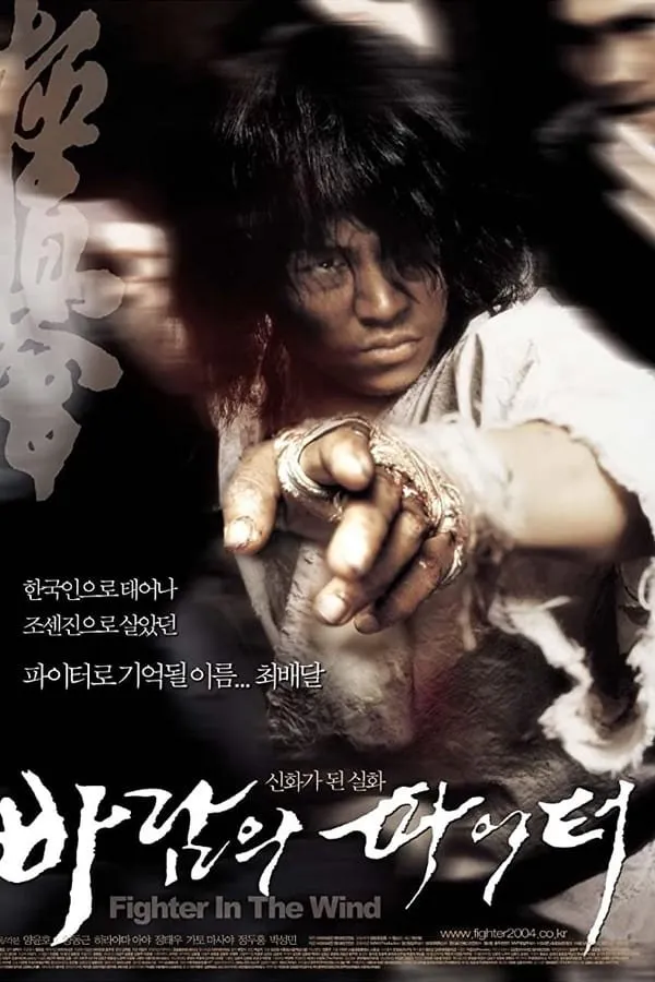 ქარის მებრძოლი (ქართულად) / Fighter in the Wind (Baramui paiteo) ქართულად 2004 / karis mebrdzoli qartulad