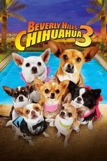 ჩიხუახუა ბევერლი ჰილზიდან 3 (ქართულად) / Beverly Hills Chihuahua 3: Viva La Fiesta! (Chixuaxua Beverli Hilzidan 3 Qartulad) ქართულად 2012 / chikhuakhua beverli hilzidan 3 qartulad
