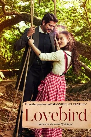 ნარჩიტა (ქართულად) / Çalikusu (Narchita Qartulad) ქართულად 2013 / narchita qartulad