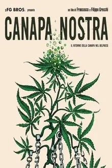 ჩვენი კანაფი (ქართულად) / Canapa Nostra (Chveni Kanafi Qartulad) ქართულად 2019 / chveni kanapi qartulad
