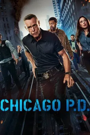 ჩიკაგოს პოლიცია (ქართულად) / Chicago P.D. (Chikagos Policia Qartulad) ქართულად 2014 / chikagos politsia qartulad