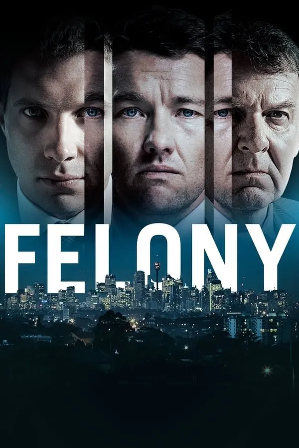 განსაკუთრებით მძიმე დანაშაული (ქართულად) / Felony ქართულად 2013 / gansakutrebit mdzime danashauli qartulad
