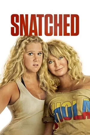 გატაცებულები (ქართულად) / Snatched (Gatacebulebi Qartulad) ქართულად 2017 / gatatsebulebi qartulad