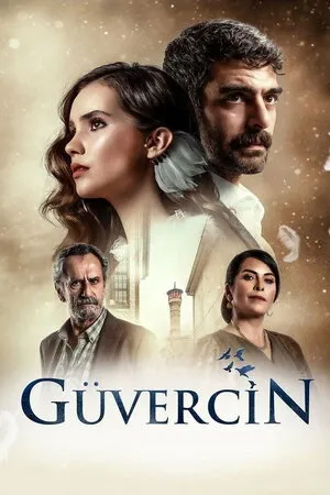მტრედი (ქართულად) / The Pigeon (Güvercin) ქართულად 2018 / mtredi qartulad