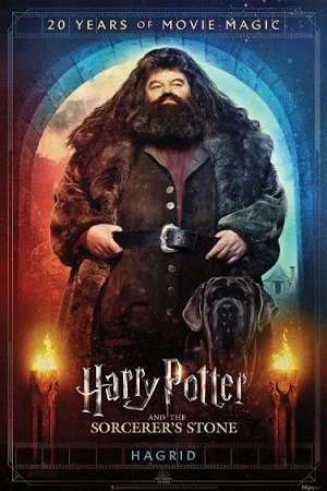 ჰარი პოტერი და ფილოსოფიური ქვა (ქართულად) / Harry Potter and the Sorcerer's Stone (Hari Poteri Da Filosofiuri Qva Qartulad) ქართულად 2001 / hari poteri da pilosopiuri kva qartulad