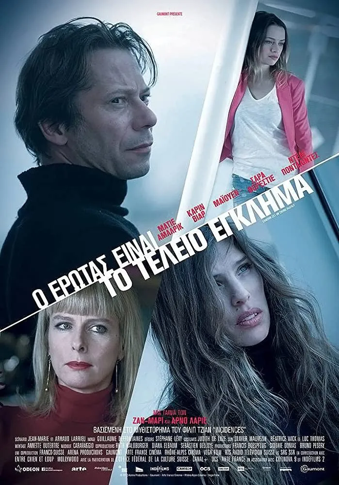 სიყვარული იდეალური დანაშაულია (ქართულად) / Love Is the Perfect Crime (L'amour est un crime parfait) ქართულად 2013 / siqvaruli idealuri danashaulia qartulad