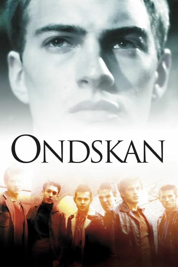 ბოროტება (ქართულად) / Evil (Ondskan) ქართულად 2003 / boroteba qartulad