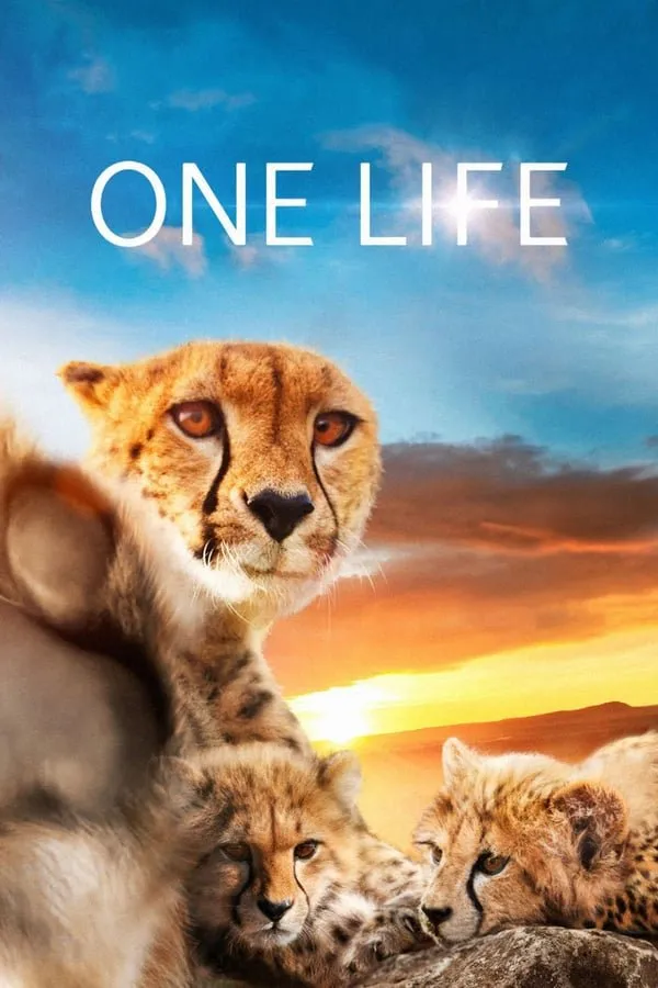 ერთი სიცოცხლე (ქართულად) / One Life ქართულად 2011 / erti sitsotskhle qartulad