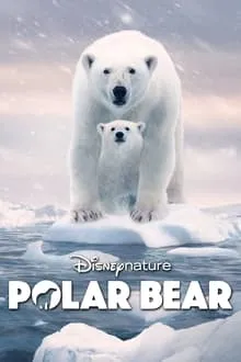პოლარული დათვი (ქართულად) / Polar Bear (Polaruli Datvi Qartulad) ქართულად 2022 / polaruli datvi qartulad