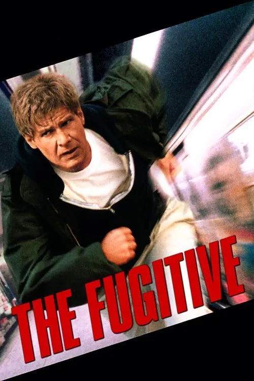 გაქცეული (ქართულად) / The Fugitive (Gaqceuli Qartulad) ქართულად 1993 / gaktseuli qartulad