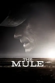 ნარკოკურიერი (ქართულად) / The Mule (Narkokurieri Qartulad) ქართულად 2018 / narkokurieri qartulad