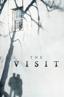 სტუმრობა (ქართულად) / The Visit (Viziti Qartulad) ქართულად 2015 / stumroba qartulad