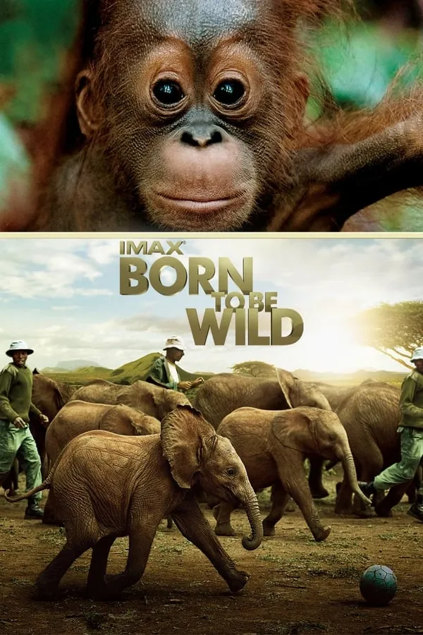 ველურებად დაბადებულნი (ქართულად) / Born to Be Wild (Velurebad Dabadebulni Qartulad) ქართულად 2011 / velurebad dabadebulni qartulad