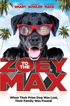 ზოი და მაქსი (ქართულად) / Zoey to the Max (Zoi Da Maqsi Qartulad) ქართულად 2015 / zoi da maksi qartulad